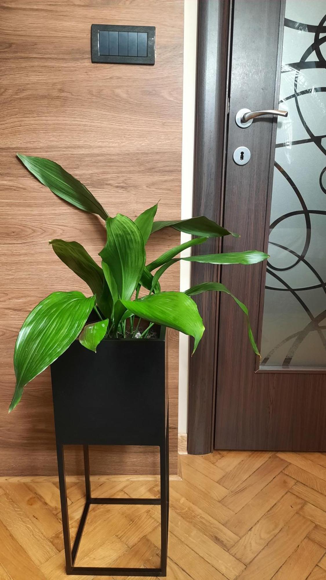 Stan Na Dan Apartman D Lux Jacuzzi Kragujevac Exterior foto